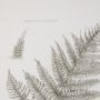 15426 - Fern Study III by Mercana Studio Hand Embelished Framed Art Print Matted under Glass