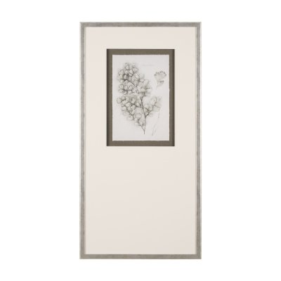 15427 - Fern Study IV (Capillus Veneris) Mercana Studio Hand Embelished Framed Art Print Matted under Glass