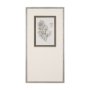 15427 - Fern Study IV (Capillus Veneris) Mercana Studio Hand Embelished Framed Art Print Matted under Glass