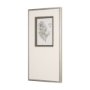 15427 - Fern Study IV (Capillus Veneris) Mercana Studio Hand Embelished Framed Art Print Matted under Glass