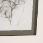 15427 - Fern Study IV (Capillus Veneris) Mercana Studio Hand Embelished Framed Art Print Matted under Glass