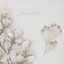 15427 - Fern Study IV (Capillus Veneris) Mercana Studio Hand Embelished Framed Art Print Matted under Glass