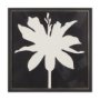 15451 - Floral Silhouettes I by Liz Jardine a Hand Embelished Textured Framed Art Print