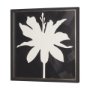 15451 - Floral Silhouettes I by Liz Jardine a Hand Embelished Textured Framed Art Print