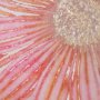 15447 - Subtle Florals II by Mercana Studio a Hand Embelished Textured Framed Art Print Matted under Glass