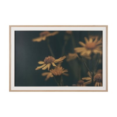 15464 - Wild Blooms I by Nathan Larson a Hand Embellished Framed Photo Art Print Matted under Glass