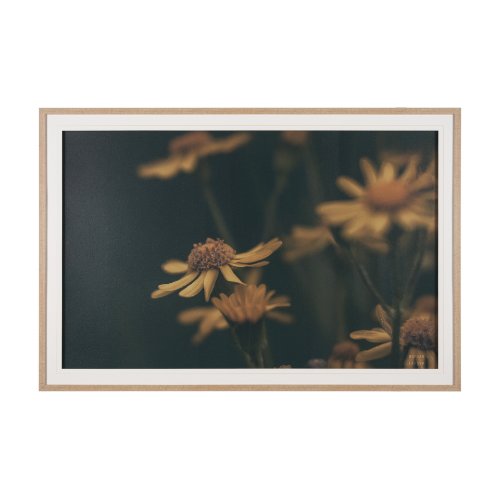 15464 - Wild Blooms I by Nathan Larson a Hand Embellished Framed Photo Art Print Matted under Glass