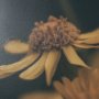 15464 - Wild Blooms I by Nathan Larson a Hand Embellished Framed Photo Art Print Matted under Glass