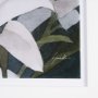 15445 - Purity III by Mercana Studio a Framed Art Print