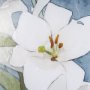 15445 - Purity III by Mercana Studio a Framed Art Print