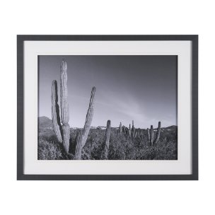 On The Ranch Cactus I by Norm Stelfox Hand Embelished Textured Framed Photo Art Print Matted under G