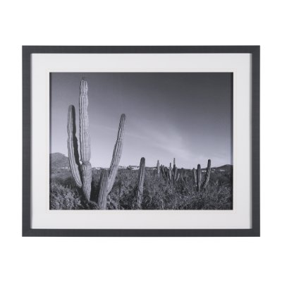 15450 - On The Ranch Cactus I by Norm Stelfox Hand Embelished Textured Framed Photo Art Print Matted under G