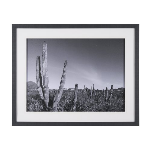 15450 - On The Ranch Cactus I by Norm Stelfox Hand Embelished Textured Framed Photo Art Print Matted under G