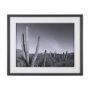 15450 - On The Ranch Cactus I by Norm Stelfox Hand Embelished Textured Framed Photo Art Print Matted under G