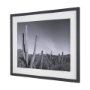 15450 - On The Ranch Cactus I by Norm Stelfox Hand Embelished Textured Framed Photo Art Print Matted under G