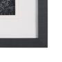 15450 - On The Ranch Cactus I by Norm Stelfox Hand Embelished Textured Framed Photo Art Print Matted under G