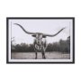 15456 - Longhorn Last Call BW by Nathan Larson Hand Embelished Textured Framed Photo Art Print Matted under 