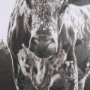15456 - Longhorn Last Call BW by Nathan Larson Hand Embelished Textured Framed Photo Art Print Matted under 