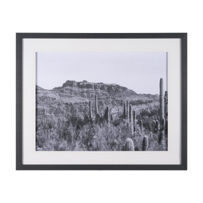 15459 - American Borderlands by Nathan Larson Hand Embelished Textured Framed Photo Art Print Matted under G