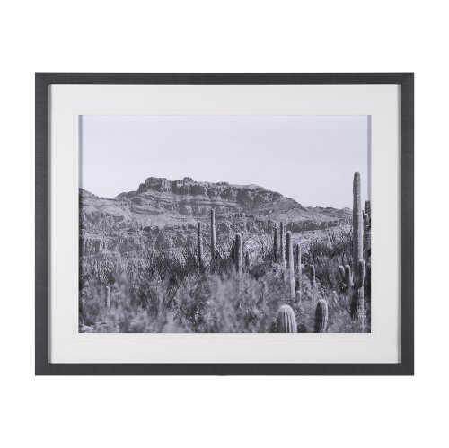 15459 - American Borderlands by Nathan Larson Hand Embelished Textured Framed Photo Art Print Matted under G
