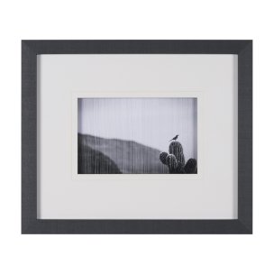 On Guard by Nathan Larson a Hand Embelished Textured Framed Photo Art Print Matted under Glass