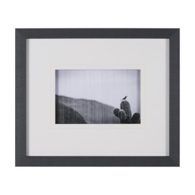 15466 - On Guard by Nathan Larson a Hand Embelished Textured Framed Photo Art Print Matted under Glass