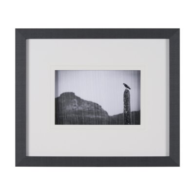 15467 - Desert Hunter by Nathan Larson a Hand Embelished Textured Framed Photo Art Print Matted under Glass