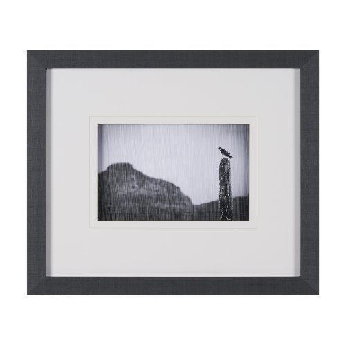 15467 - Desert Hunter by Nathan Larson a Hand Embelished Textured Framed Photo Art Print Matted under Glass