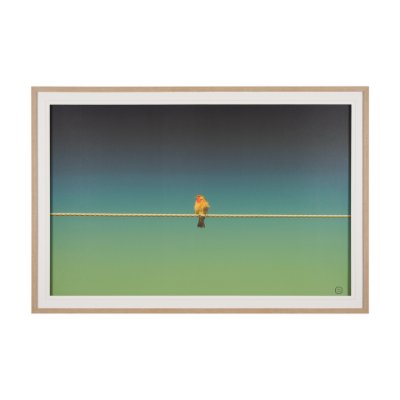 15469 - Wired Finch by Nathan Larson a Hand Embellished Framed Photo Art Print Matted under Glass