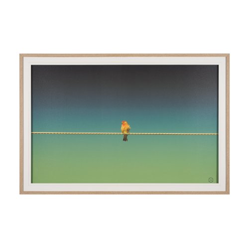 15469 - Wired Finch by Nathan Larson a Hand Embellished Framed Photo Art Print Matted under Glass