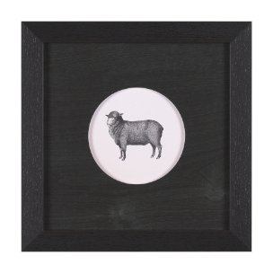 Down On The Farm II by Wild Apple Portfolio a Framed Art Print Matted under Glass