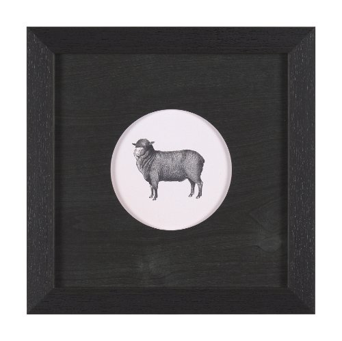 15490 - Down On The Farm II by Wild Apple Portfolio a Framed Art Print Matted under Glass