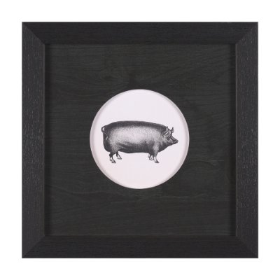 15491 - Down On The Farm III by Wild Apple Portfolio a Framed Art Print Matted under Glass