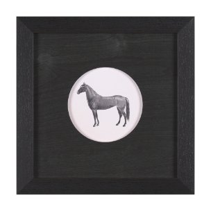 Down On The Farm IV by Wild Apple Portfolio a Framed Art Print Matted under Glass