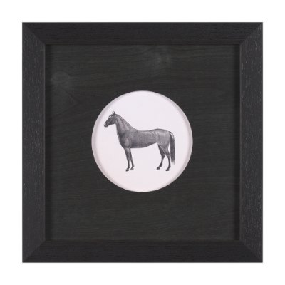 15492 - Down On The Farm IV by Wild Apple Portfolio a Framed Art Print Matted under Glass