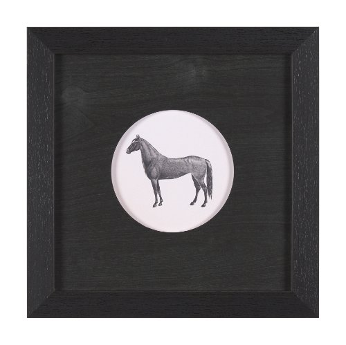 15492 - Down On The Farm IV by Wild Apple Portfolio a Framed Art Print Matted under Glass