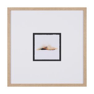 Sundown II by Mercana Studio a Framed Art Print