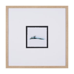 Morning Blue I by Mercana Studio a Framed Art Print