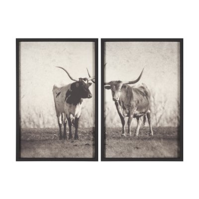 15470 - Texas Longhorns (Set of 2) by Debra Van Swearingen a Hand Embellished Framed Art Photograph Print