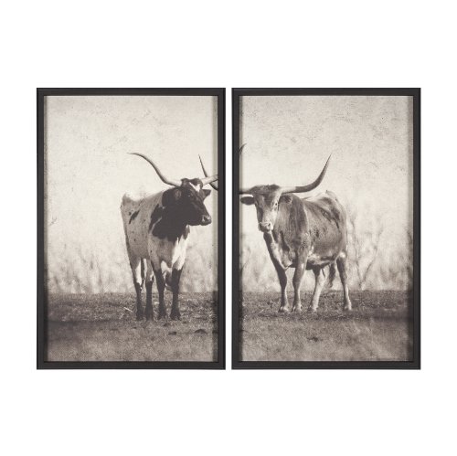 15470 - Texas Longhorns (Set of 2) by Debra Van Swearingen a Hand Embellished Framed Art Photograph Print