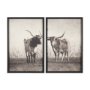 15470 - Texas Longhorns (Set of 2) by Debra Van Swearingen a Hand Embellished Framed Art Photograph Print