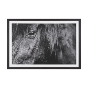 Mustang by Nathan Larson a Hand Embellished Framed Photo Art Print Matted under Glass