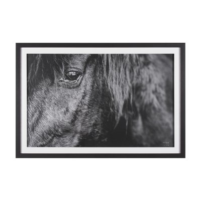 15493 - Mustang by Nathan Larson a Hand Embellished Framed Photo Art Print Matted under Glass