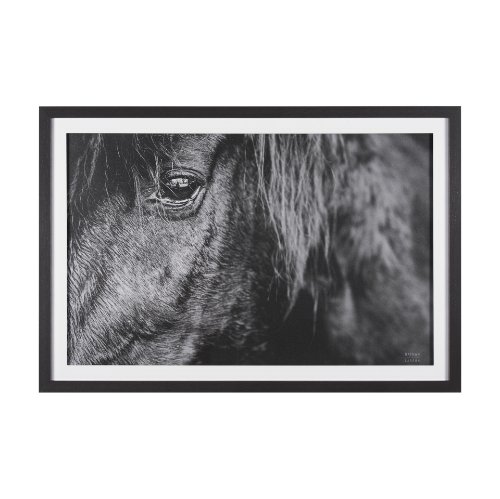 15493 - Mustang by Nathan Larson a Hand Embellished Framed Photo Art Print Matted under Glass