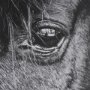 15493 - Mustang by Nathan Larson a Hand Embellished Framed Photo Art Print Matted under Glass