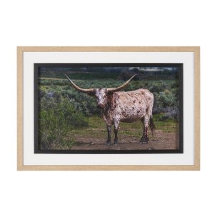Longhorn 1 by Gary Blatter a Hand Embellished Framed Photo Art Print Matted under Glass