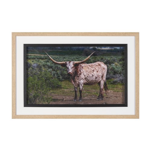 15496 - Longhorn 1 by Gary Blatter a Hand Embellished Framed Photo Art Print Matted under Glass