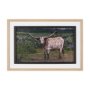 15496 - Longhorn 1 by Gary Blatter a Hand Embellished Framed Photo Art Print Matted under Glass