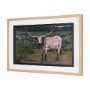 15496 - Longhorn 1 by Gary Blatter a Hand Embellished Framed Photo Art Print Matted under Glass
