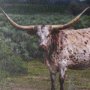 15496 - Longhorn 1 by Gary Blatter a Hand Embellished Framed Photo Art Print Matted under Glass